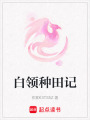 白領(lǐng)種田記