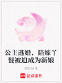公主逃婚，陪嫁丫鬟被迫成為新娘