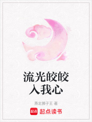 流光皎皎入我心
