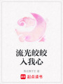 流光皎皎入我心