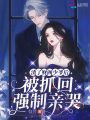 渣了財(cái)閥少爺后，被抓回強(qiáng)制親哭