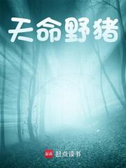 天命野猪朱子山李思雅小说在线章节目录阅读最新章节