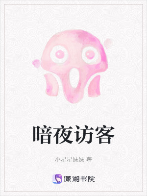 暗夜訪客