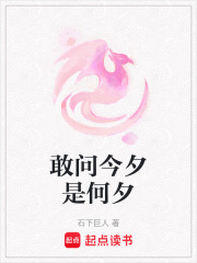 敢問今夕是何夕