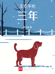 王安平的三年
