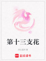 第十三支花