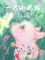 一只小花貓
