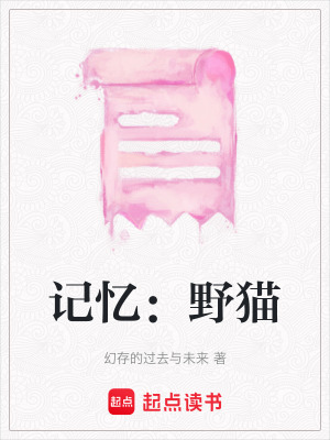 記憶：野貓