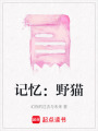 記憶：野貓
