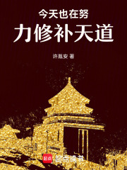 今天也在努力修補天道
