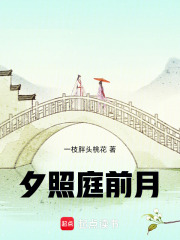 夕照庭前月