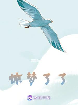 驚夢了了