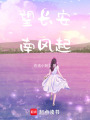 望長安，南風起