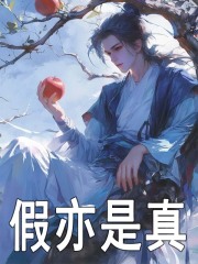 假亦是真小说，假亦是真在线阅读