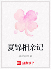 夏錦相親記