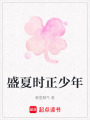 盛夏時正少年