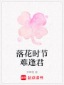 落花時節難逢君