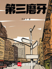 第三磨牙