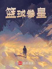 篮球拳皇孟进，篮球拳皇小说免费阅读