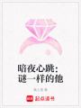 暗夜心跳：謎一樣的他