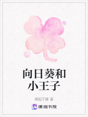向日葵和小王子