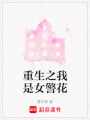 重生之我是女警花