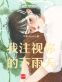 我注視你的下雨天