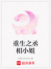 重生之丞相小姐