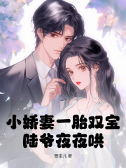 《小娇妻一胎双宝，陆爷夜夜哄！》小说章节在线试读，《小娇妻一胎双宝，陆爷夜夜哄！》最新章节目录