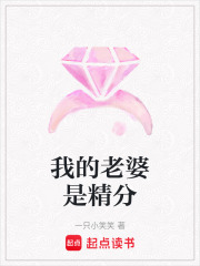 我的老婆是精分