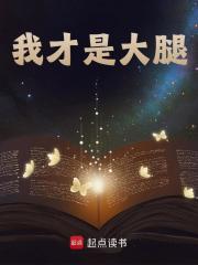 我才是大腿免费阅读，我才是大腿孟川佟丫丫小说无弹窗阅读
