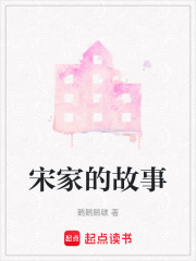 宋家的故事