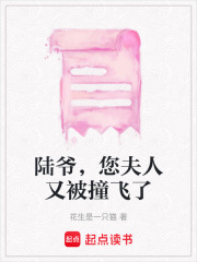 陸爺，您夫人又被撞飛了