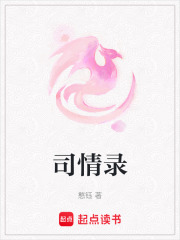 司情錄