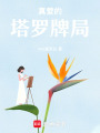 真愛的塔羅牌局