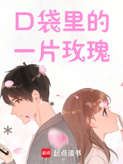 口袋里的一片玫瑰