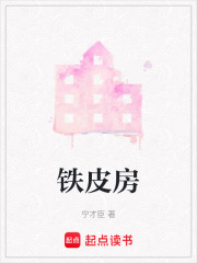 鐵皮房