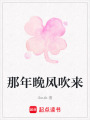 那年晚風吹來