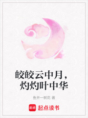 皎皎云中月，灼灼葉中華