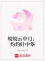皎皎云中月，灼灼葉中華