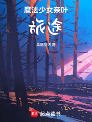 魔法少女奈葉：旅途