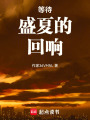等待盛夏的回響
