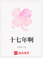 十七年啊