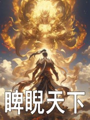睥睨天下小说，睥睨天下苏夜叶凡
