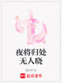 夜將歸處無人曉