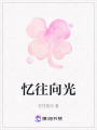 憶往向光