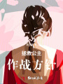 拯救公主作戰方針