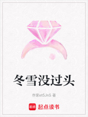 冬雪沒(méi)過(guò)頭