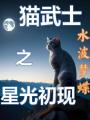 貓武士之星光初現