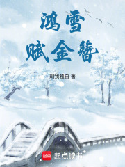 鴻雪賦金簪